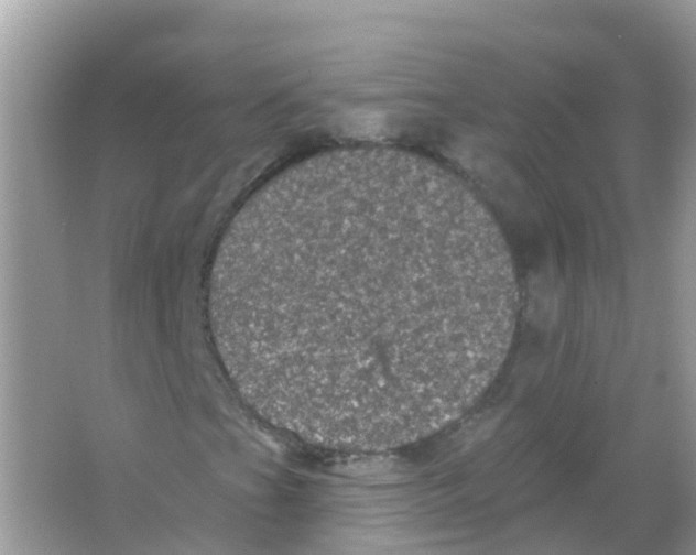 X0000065991201200603311922