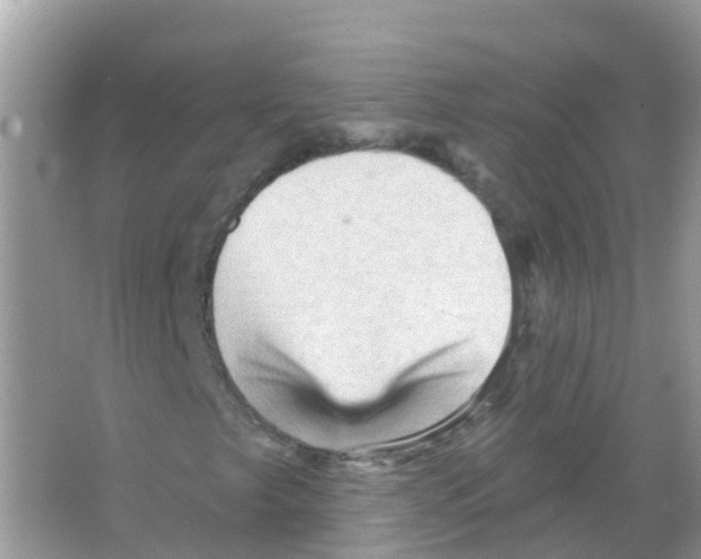 X0000065991249200603311922