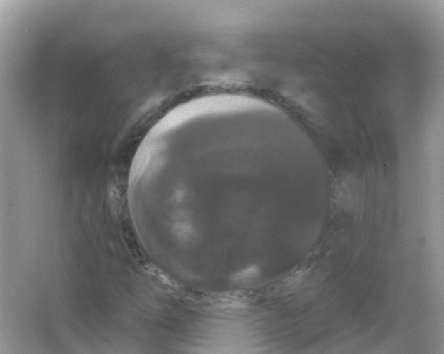 X0000065991254200603311922