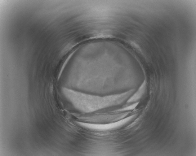 X0000065991257200603311922
