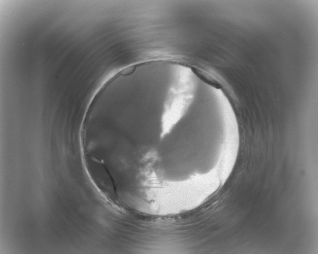 X0000065991291200603311921