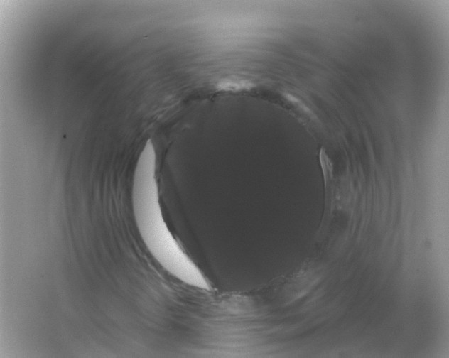 X0000065991298200603311920