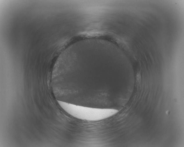 X0000065991300200603311920