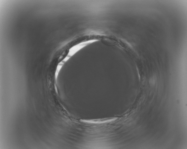 X0000065991303200603311920