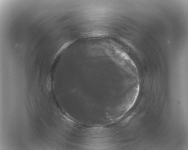 X0000065991306200603311920