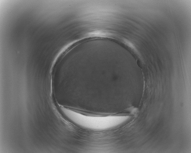 X0000065991323200603311921