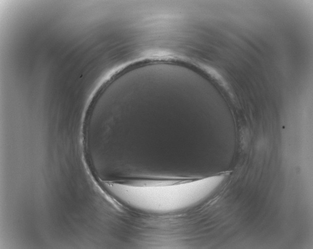 X0000065991327200603311921