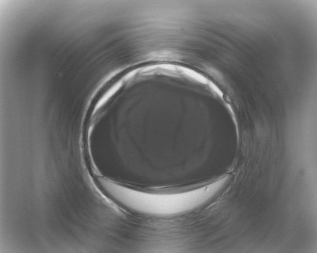 X0000065991331200603311921