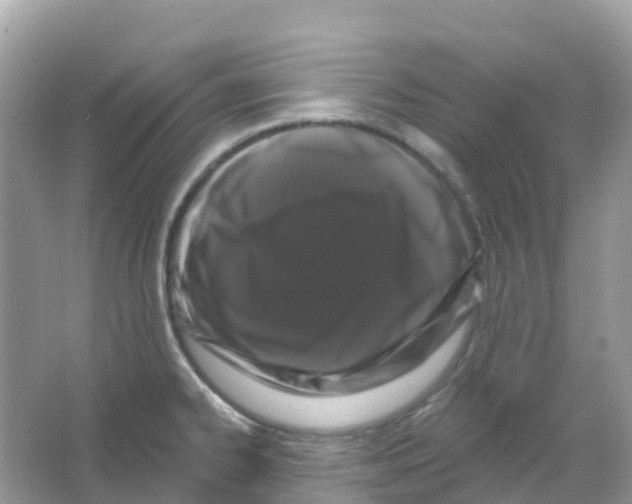 X0000065991334200603311921