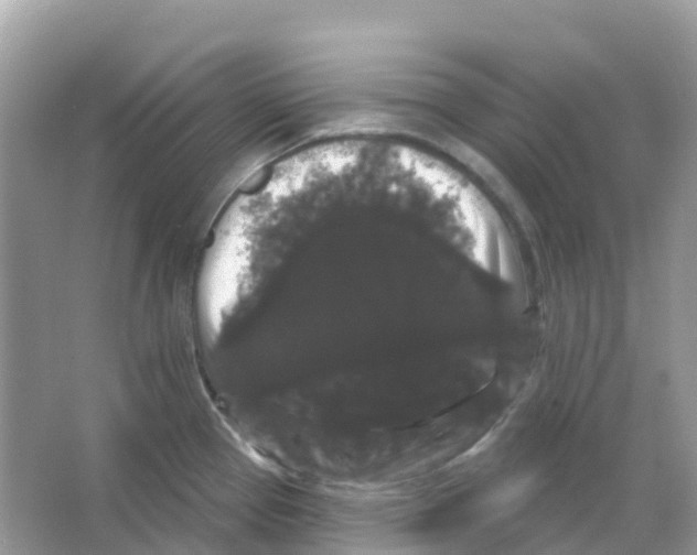X0000065991337200603311921