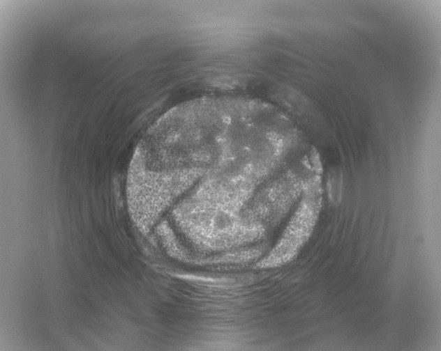 X0000065991347200603311920