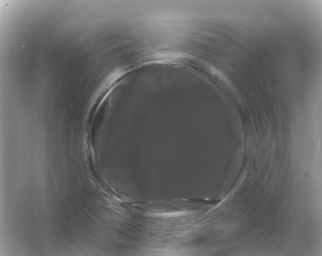 X0000065991362200603311920