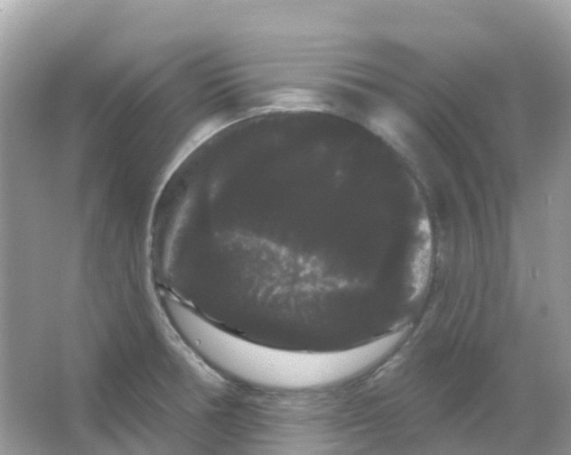 X0000065991378200603311920