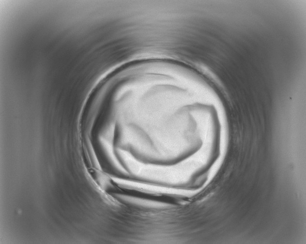 X0000065991380200603311920