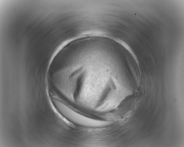 X0000065991389200603311919