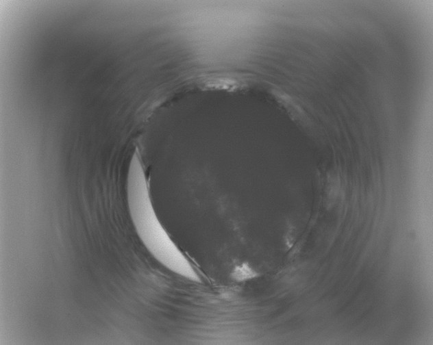 X0000065991394200603311919