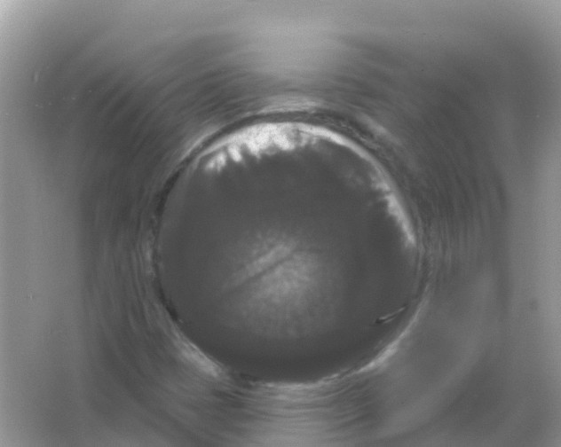 X0000065991401200603311919