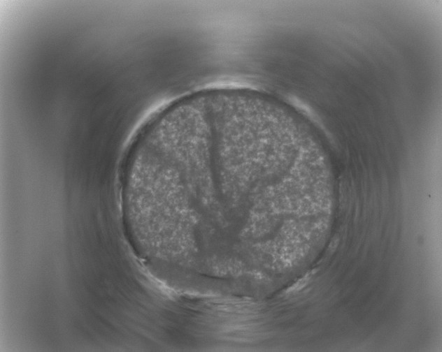 X0000065991408200603311919