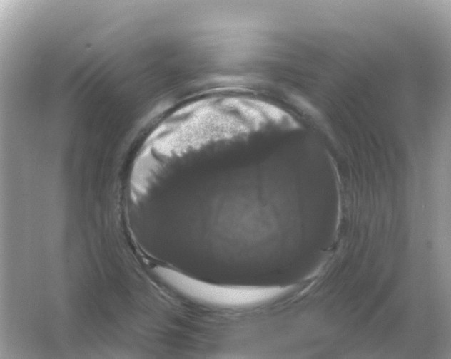 X0000065991411200603311919