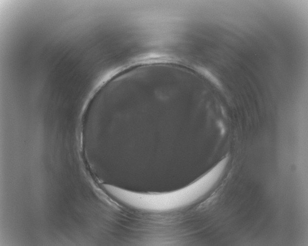 X0000065991413200603311919