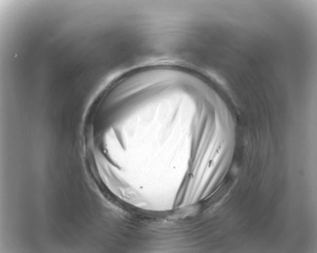 X0000065991414200603311919