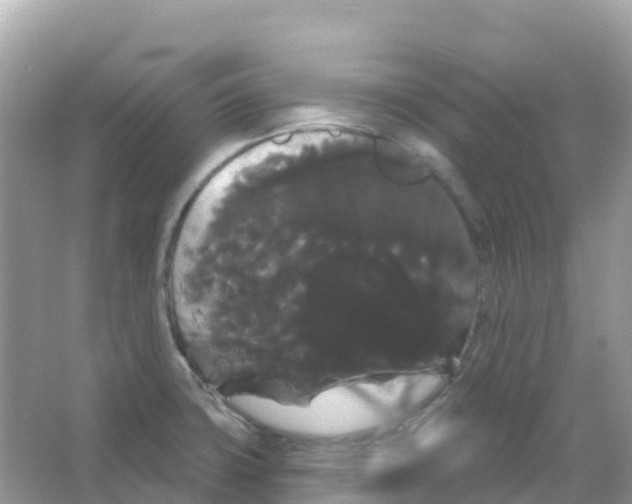 X0000065991427200603311919