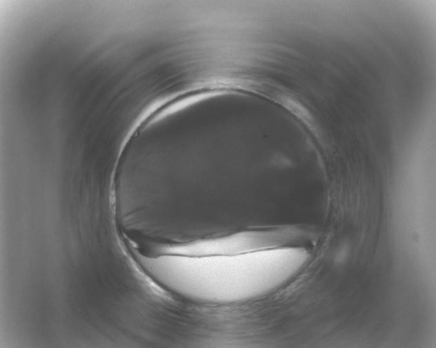X0000065991428200603311919