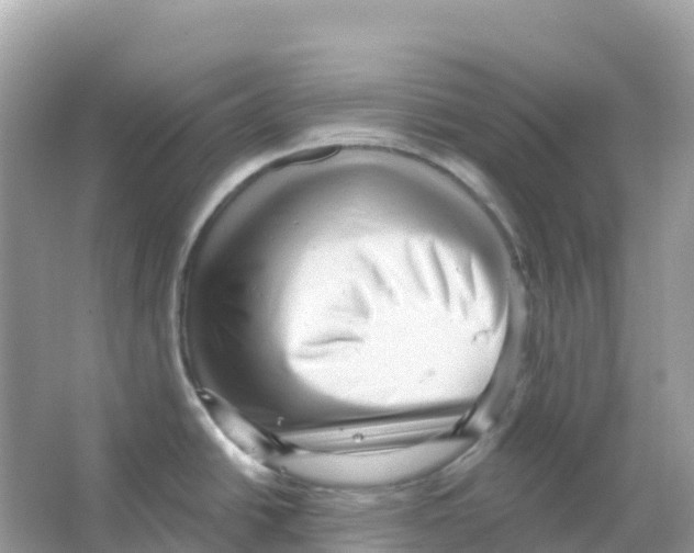 X0000065991438200603311919