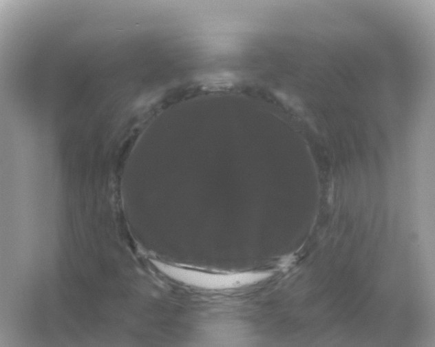 X0000065991445200603311918