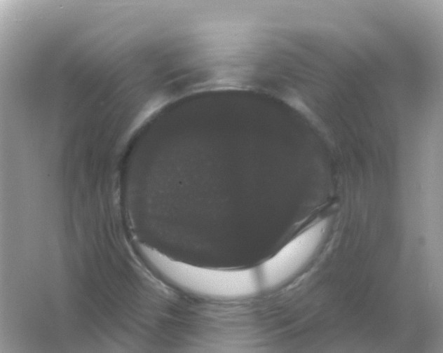 X0000065991450200603311918