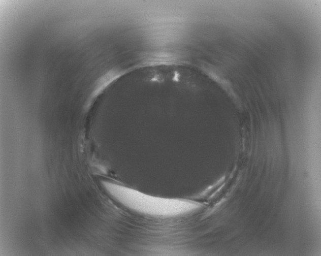 X0000065991453200603311918