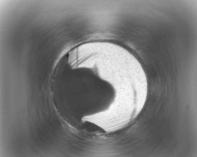 X0000065991459200603311918