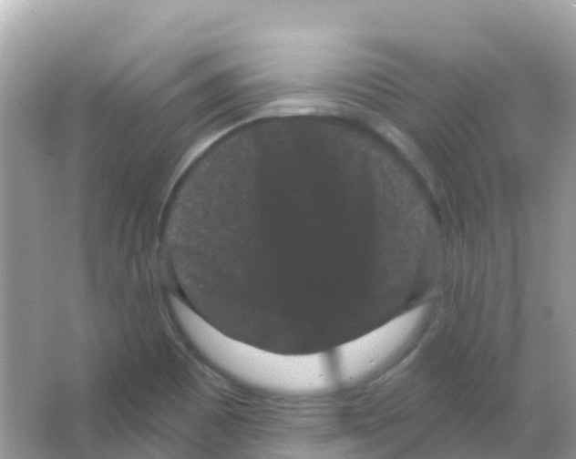 X0000065991465200603311918