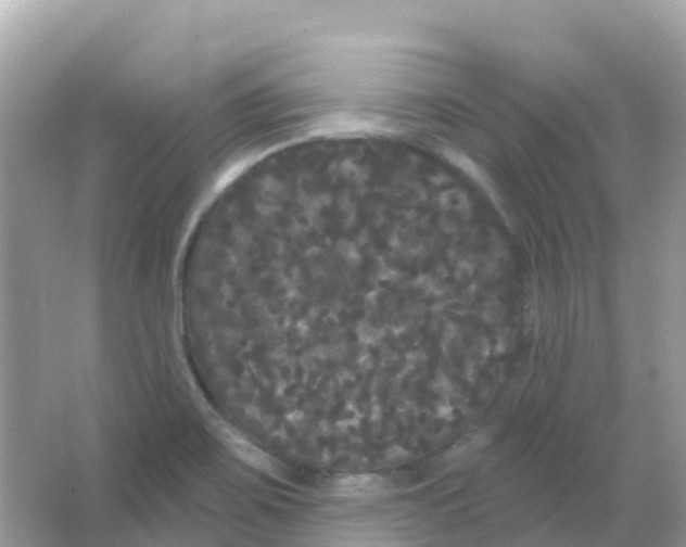 X0000065991467200603311918
