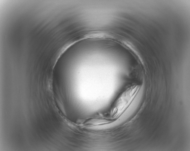 X0000065991481200603311918