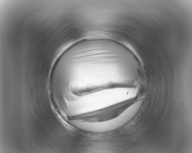 X0000065991485200603311918