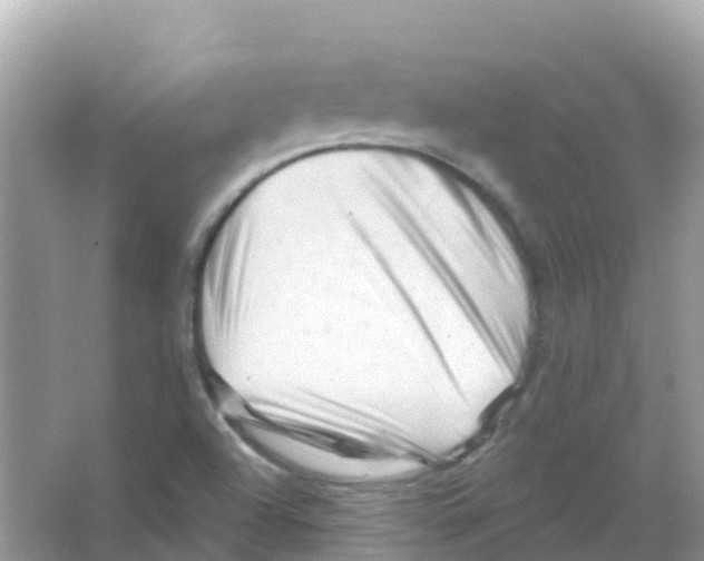 X0000065991504200603311917
