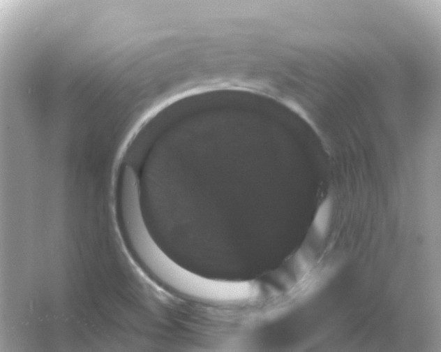 X0000065991508200603311917