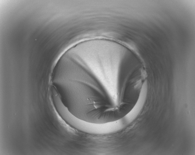 X0000065991524200603311917