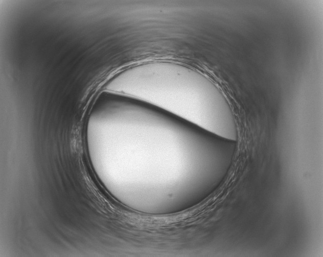X0000066000002200603031040
