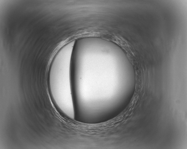 X0000066000003200603031040