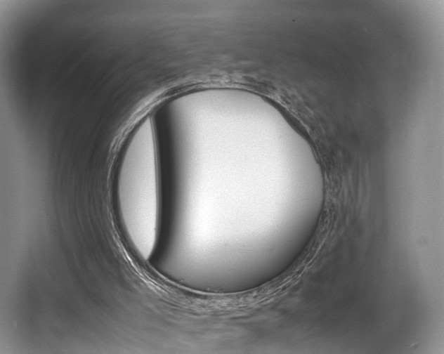 X0000066000005200603031040
