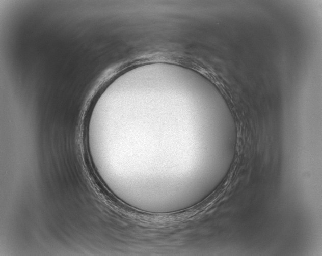 X0000066000006200603031040
