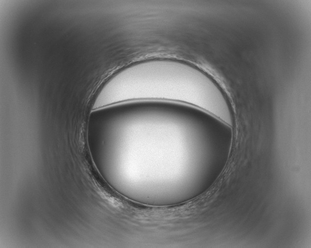 X0000066000009200603031040