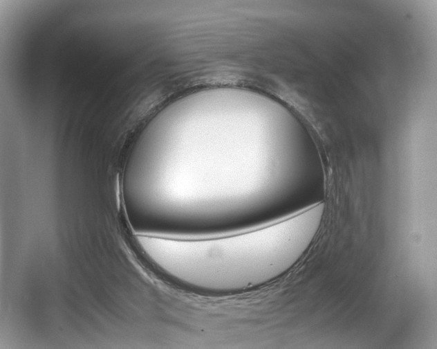 X0000066000013200603031040