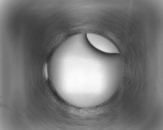 X0000066000022200603031040