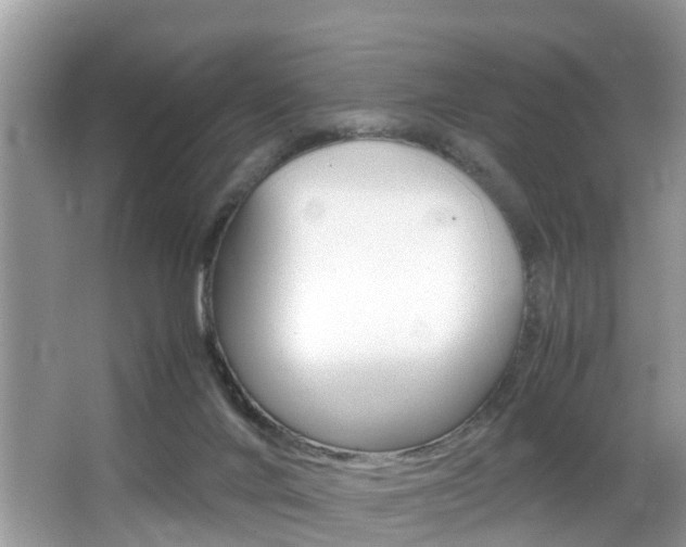 X0000066000024200603031039