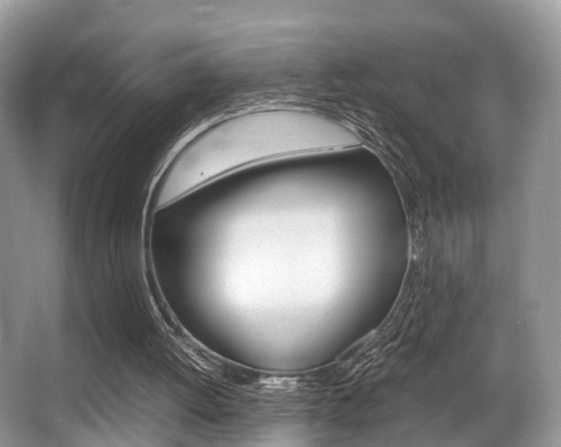 X0000066000052200603031038