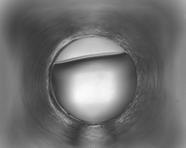X0000066000054200603031038