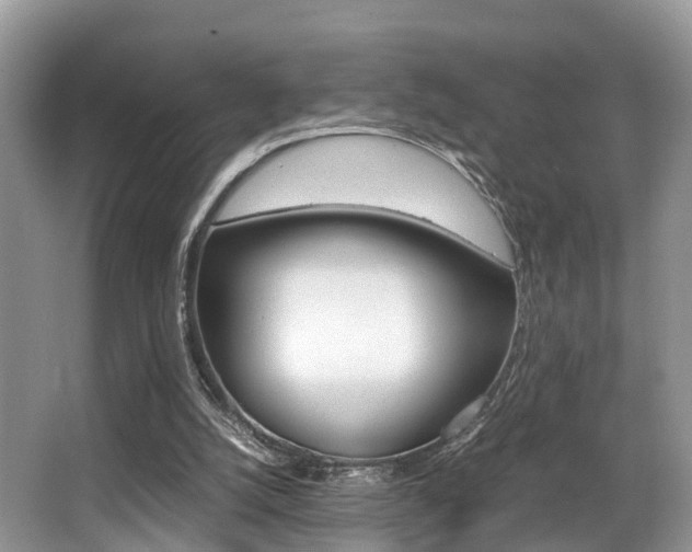 X0000066000056200603031038